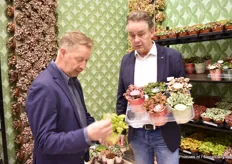Arthur Zwinkel of Royal FloraHolland talking with Eric Grosmann of Schoenmakers Group bv about their Fittonias. Year-round available in pot sizes 8.5 and 12 cm. Of course in various colors. Schoenmakers Group has the sole right to grow this product for Europe.